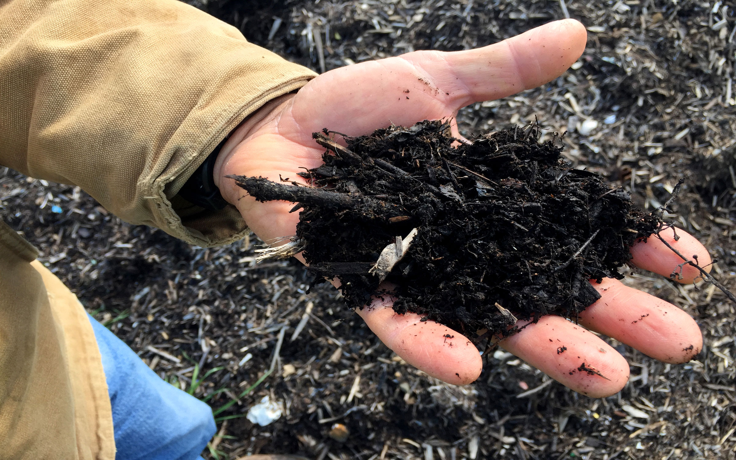 Single hand holds a clump of wet, dark soil.