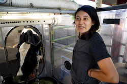 woman with black t shirt and hair in pony tail standing in front of cow in head chamber