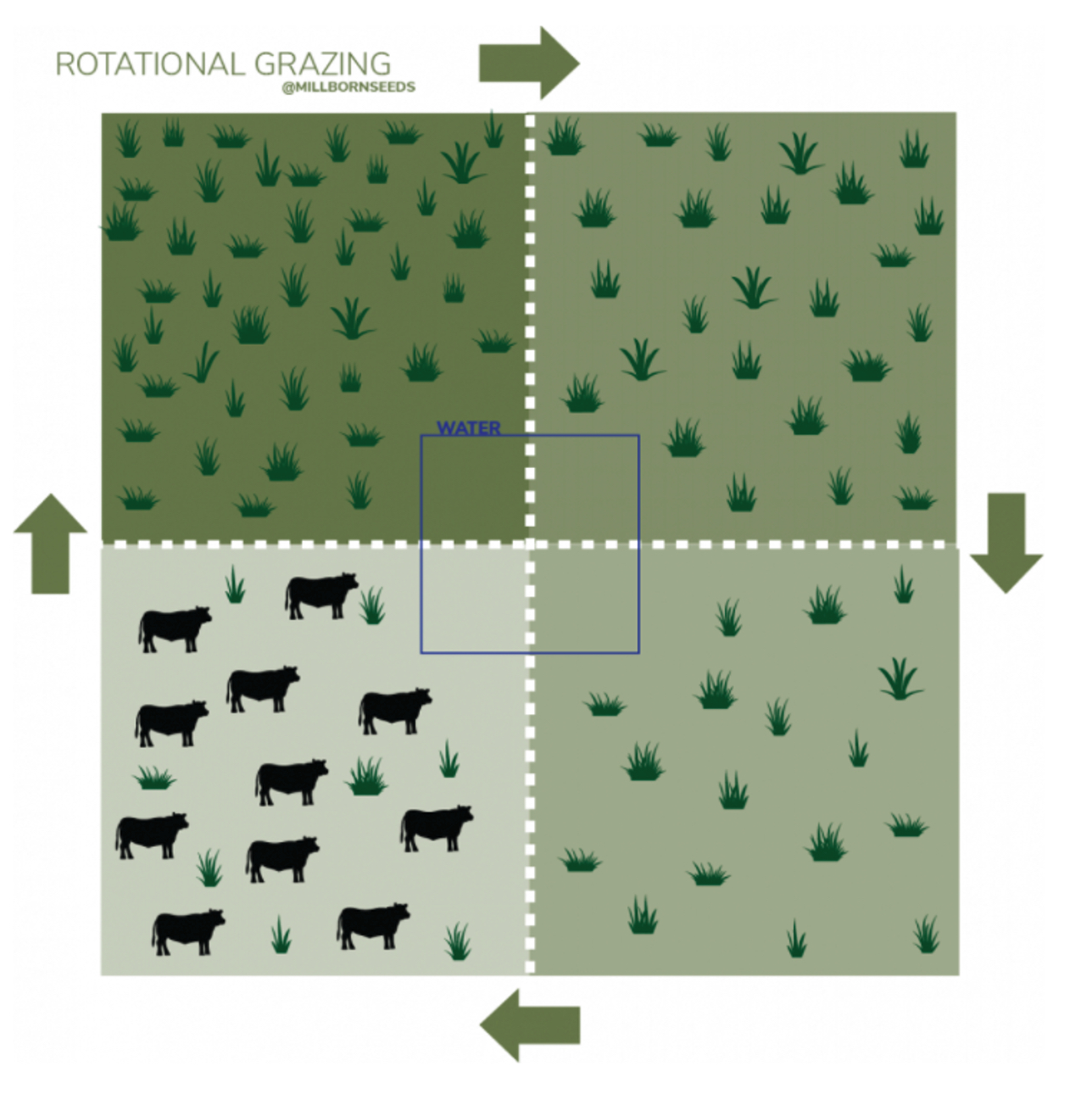 A visualization of rotational grazing