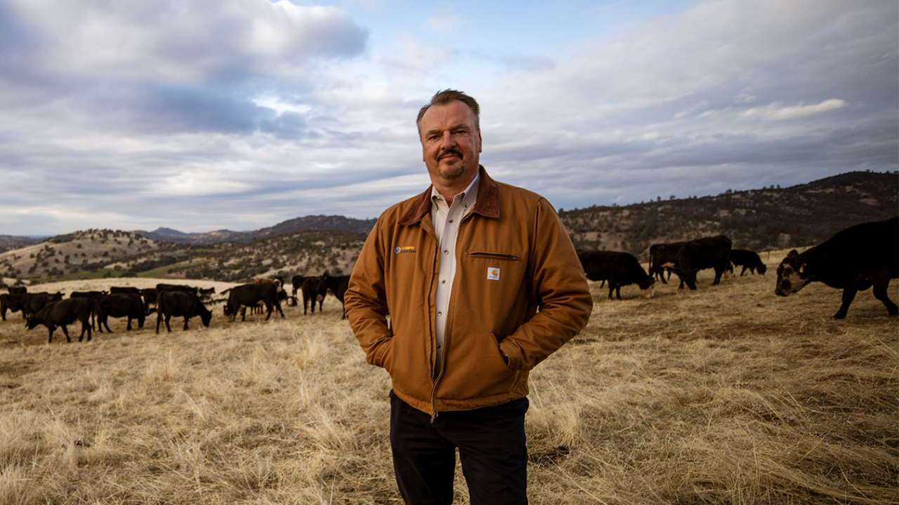 Dr. Frank Mitloehner Joins Discover Ag Podcast to Discuss Cattle and Climate