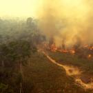 UC Davis Clear Center Amazon Rainforest fire